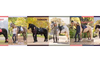 LeMieux Colour Comparison: AW25 vs Fan Favourites & Earlier Collections