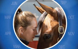 NAF-Oestress-hormonal-support-for-mares| Online For Equine