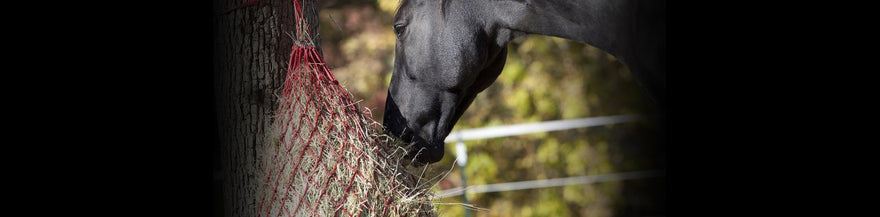 The 3 C’s of Horses’ Droppings