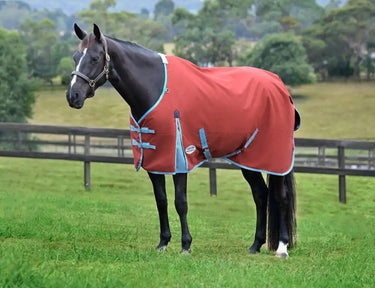 Weatherbeeta Red/Blue/Beige Comfitec Essential Standard Neck Lite Plus Turnout Rug| Online For Equine