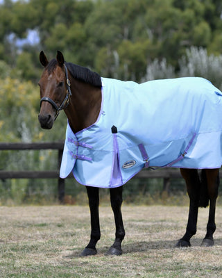 Buy Weatherbeeta ComFiTec Classic No Fill Standard Neck Turnout Rug Blue / Purple | Online for Equine