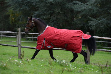 Buy WeatherBeeta ComFiTec Classic Medium/ Lite 100g Standard Neck | Online for Equine