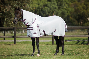 Buy WeatherBeeta ComFiTec Essential Mesh II Combo Neck Fly Rug (Maroon Binding)| Online for Equine