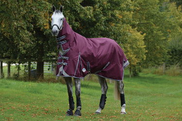 Buy the WeatherBeeta ComFiTec Plus Dynamic II 0g Lightweight Combo Neck Turnout Rug | Online for Equine