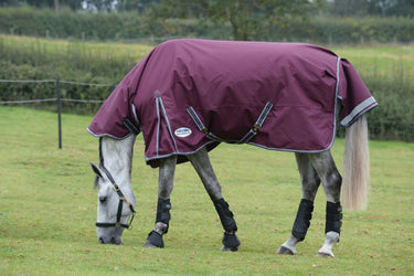 Buy the WeatherBeeta ComFiTec Plus Dynamic II 0g Lightweight Combo Neck Turnout Rug | Online for Equine