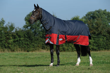 Buy the WeatherBeeta ComFiTec Plus Dynamic 220g Mediumweight Combo Neck Turnout Rug | Online for Equine
