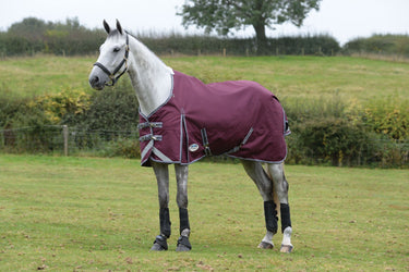 Buy the WeatherBeeta ComFiTec Plus Dynamic II 0g Lightweight Standard Neck Turnout | Online for Equine