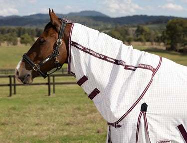 Buy the WeatherBeeta Hybrid Seasons Combo Neck Rug | Online For Equine