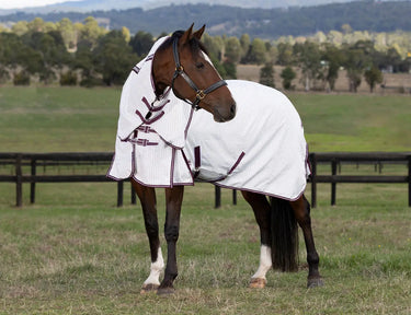 Buy the WeatherBeeta Hybrid Seasons Combo Neck Rug | Online For Equine
