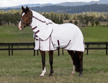 Buy the WeatherBeeta Hybrid Seasons Combo Neck Rug | Online For Equine 