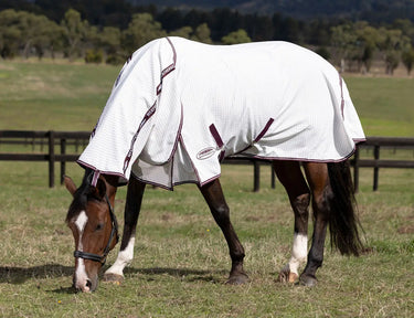 Buy the WeatherBeeta Hybrid Seasons Combo Neck Rug | Online For Equine