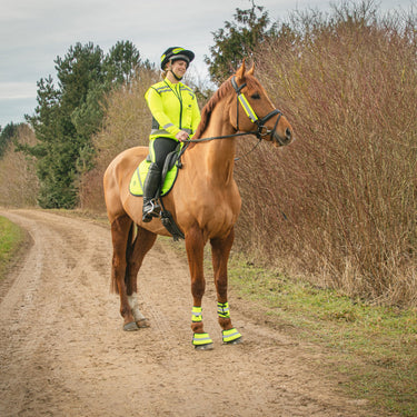 HyVIZ Waistcoat Please Pass Wide & Slow| Online For Equine