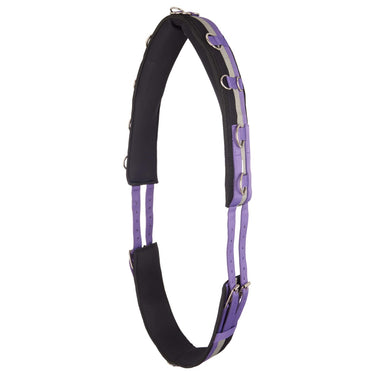 Imperial Riding Deluxe Nylon Lunging Roller
