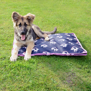 Hy Unicorn Dog Bed| Online For Equine