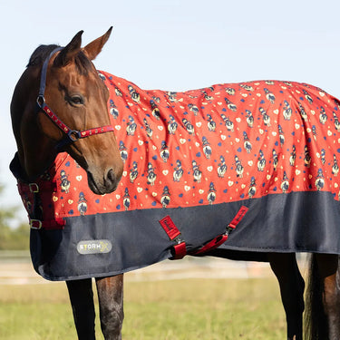 StormX Original 50 Turnout Rug| Online For Equine