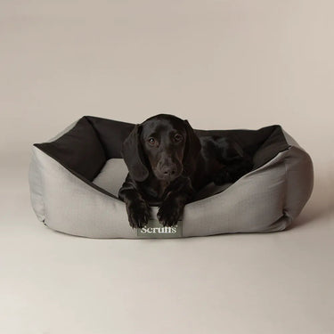 Scruffs Expedition Box Bed| Online For Equine