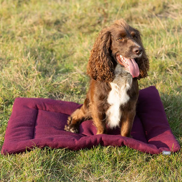 Benji & Flo Luxury Fleece Dog Bed| Online For Equine