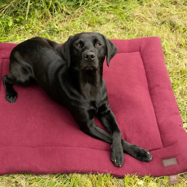 Benji & Flo Luxury Fleece Dog Bed| Online For Equine
