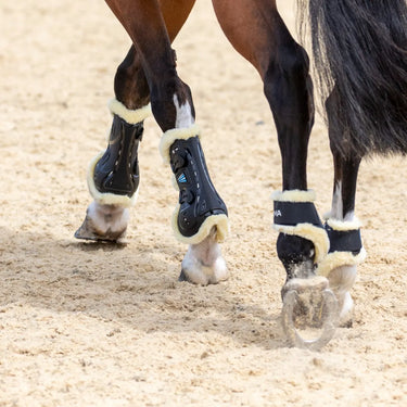 Buy Shires ARMA Carbon SupaFleece Tendon Boots | Online for Equine