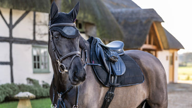 Buy LeMieux Jump Work Pad Black | Online for Equine