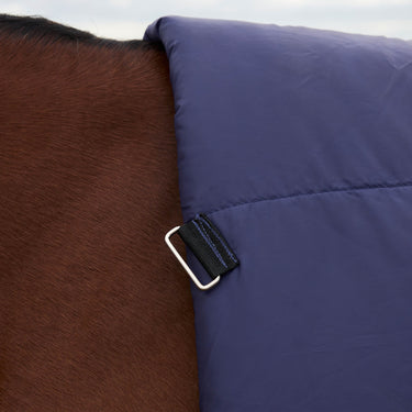Weatherbeeta Comfitec Plus Dynamic Turnout High Neck 220G| Online For Equine