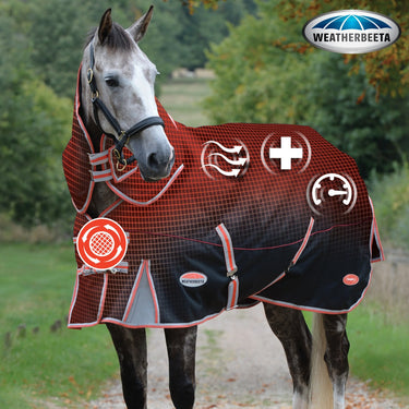 Buy the WeatherBeeta ComFiTec Premier with Therapy-Tec 220g Medium Detach-A-Neck Turnout Rug | Online for Equine