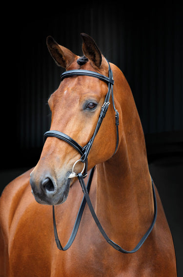 Shires Salisbury Fairford Bridle-Black-Small Pony