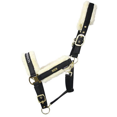 Buy Supreme Products Royal Occasion Head Collar | Online for Equine