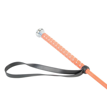 Hy Equestrian Neon Riding Whip| Online For Equine