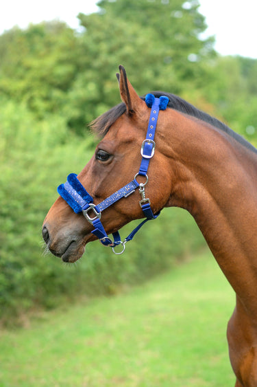 Hy Equestrian Dazzle Head Collar| Online For Equine