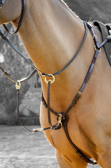 Buy Le Mieux Breastplate with Detachable Martingale Havana/Brass | Online for Equine