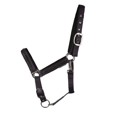 Hy Equestrian Mystic Head Collar| Online For Equine