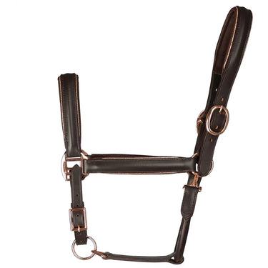 Hy Equestrian Chromatic Leather Head Collar| Online For Equine