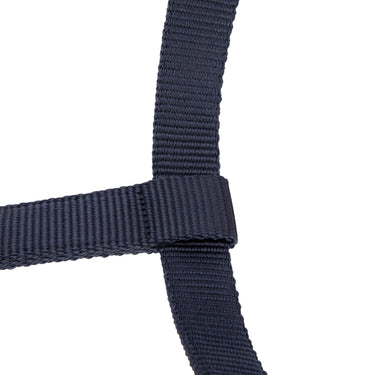 Shires Navy ARMA Padded Headcollar| Online For Equine