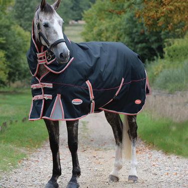 Buy the WeatherBeeta ComFiTec Premier with Therapy-Tec 220g Medium Detach-A-Neck Turnout Rug | Online for Equine