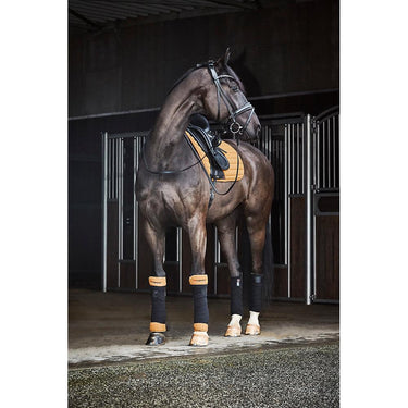 Buy Catago Savi Bridle | Online for Equine