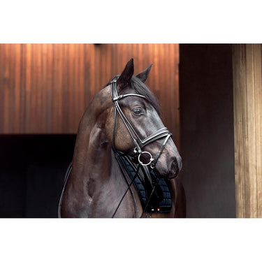 Buy Catago Shay Rolled Bridle | Online for Equine