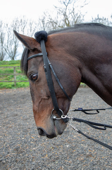 Buy Shires Lunging Adapter - Online for Equine