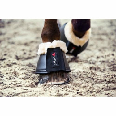 Buy Catago Neoprene Merino Bell Boots | Online for Equine