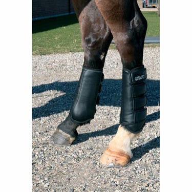 Buy CATAGO Dressage Boots | Online for Equine