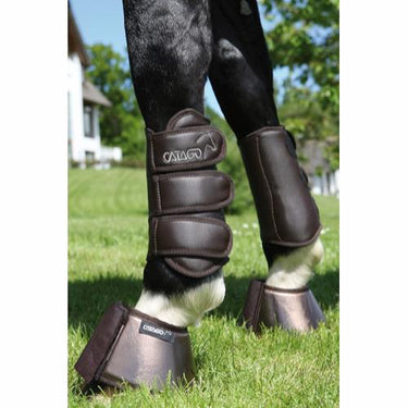 Buy CATAGO Dressage Boots | Online for Equine