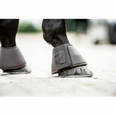 Buy Catago Premium Bell Boots | Online for Equine