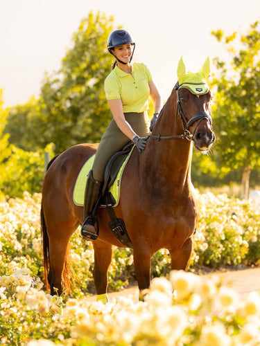 Buy LeMieux Loire Kiwi Dressage Square - Large| Online for Equine