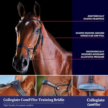 Buy the Collegiate ComFiTec Crystal Bridle | Online for Equine