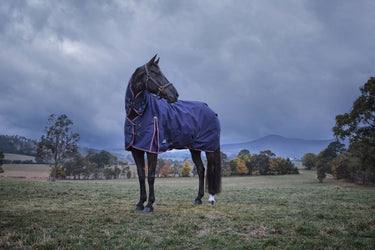 Weatherbeeta Comfitec Essential Turnout Combo 220G Navy/ Burgundy| Online For Equine