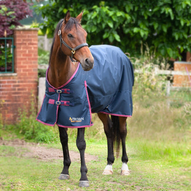 Gallop Trojan 50g Standard Neck Turnout Rug| Online For Equine