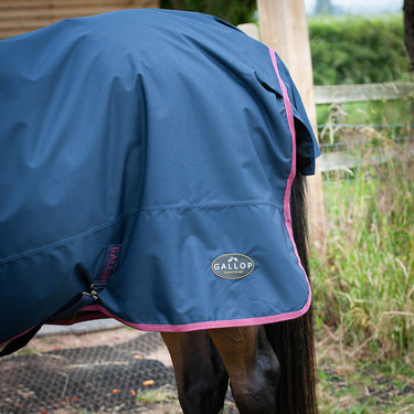Gallop Trojan 50g Standard Neck Turnout Rug| Online For Equine