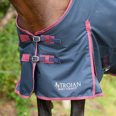 Gallop Trojan 50g Standard Neck Turnout Rug| Online For Equine