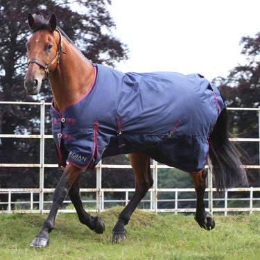 Gallop Trojan 50g Standard Neck Turnout Rug| Online For Equine