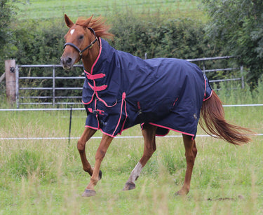 Gallop Ponie 50g Combo Neck Turnout Rug| Online For Equine